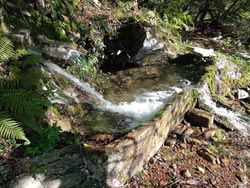 Quelle und monolithisches Becken (480 m) | Wanderung von Laglio zum Monte Colmegnone