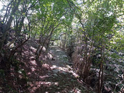 Weg zum Monti di Nar (1205 m) | Wanderung von Laglio zum Monte Colmegnone